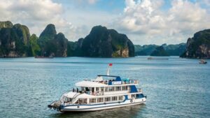 Acardy Cruise Transfer By Limousine